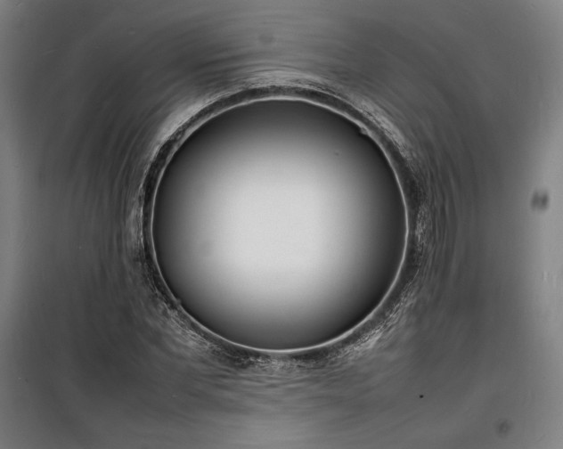 X0000100310877200806121038