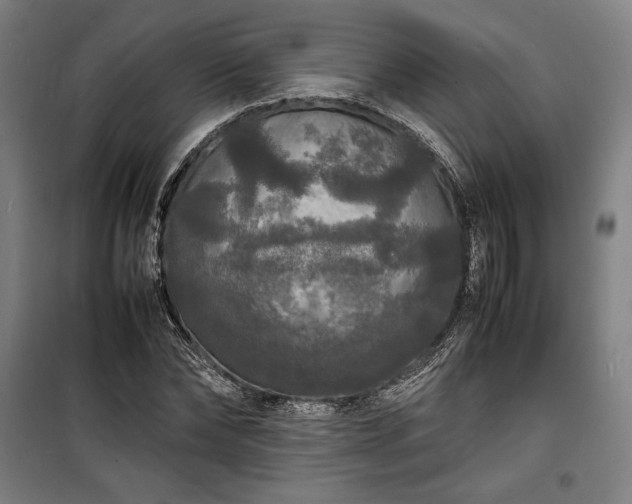 X0000100310878200806121038