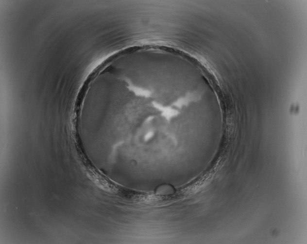 X0000100310879200806121038