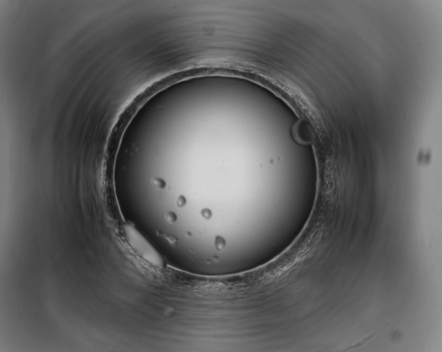 X0000100310880200806121038