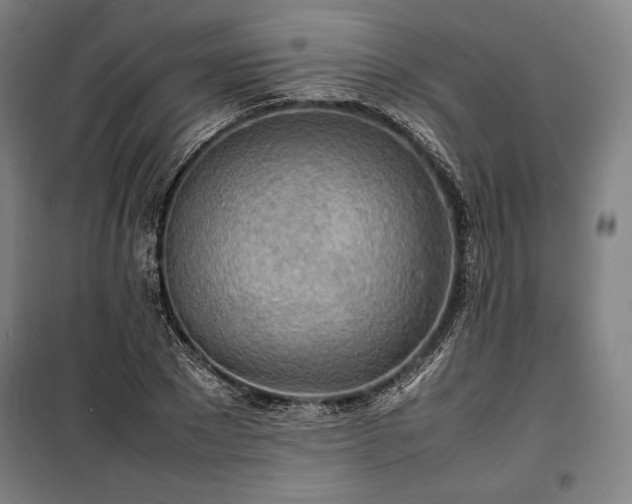 X0000100310881200806121038