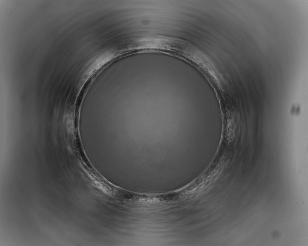 X0000100310882200806121038