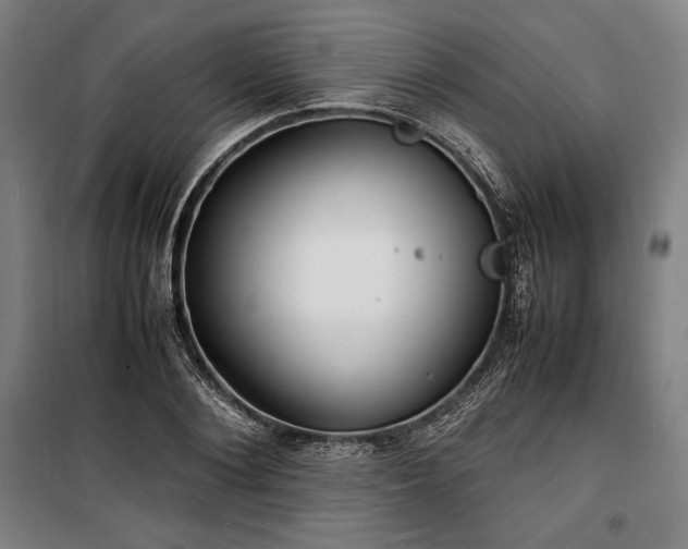 X0000100310884200806121038
