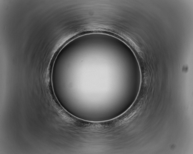 X0000100310885200806121038