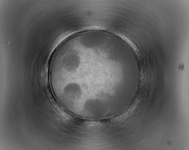 X0000100310886200806121038