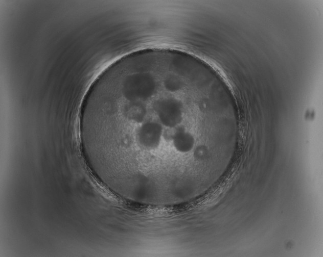 X0000100310887200806121038