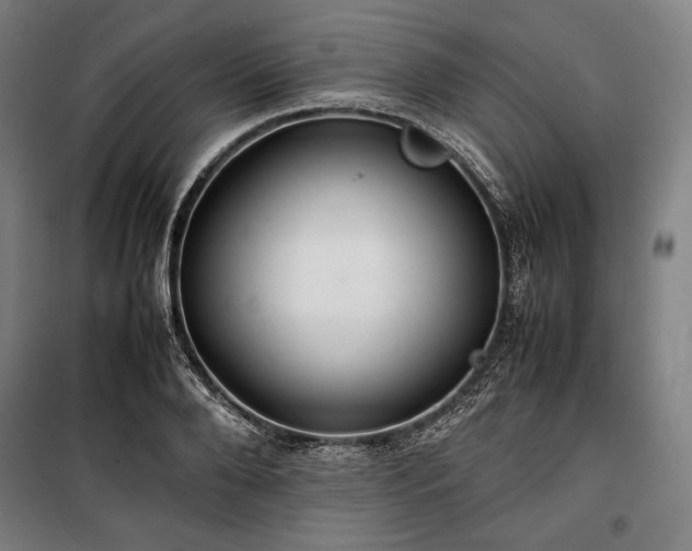 X0000100310888200806121038