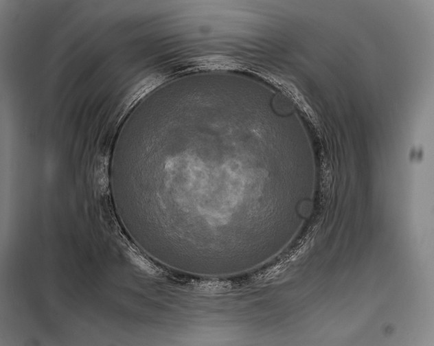 X0000100310889200806121038