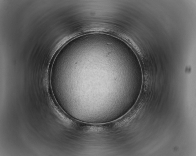 X0000100310890200806121038