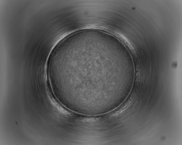 X0000100310892200806121038