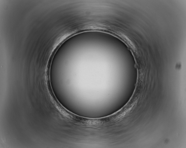 X0000100310893200806121038