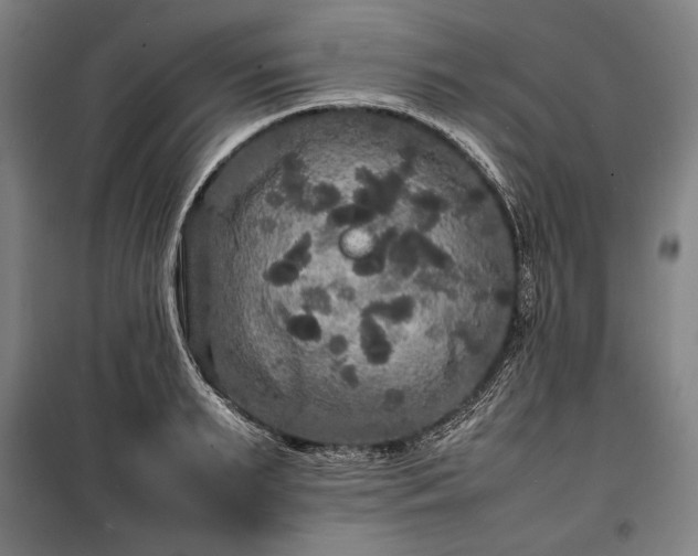 X0000100310895200806121038