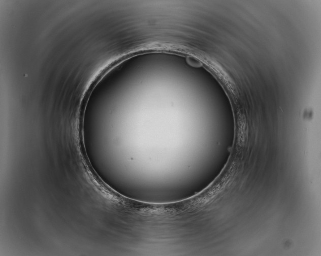 X0000100310896200806121038