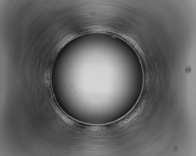 X0000100310897200806121038