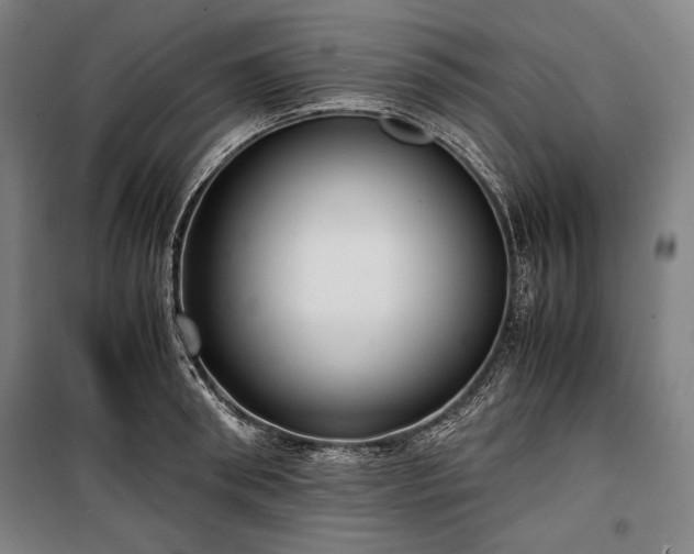 X0000100310898200806121038