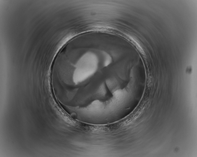 X0000100310899200806121038