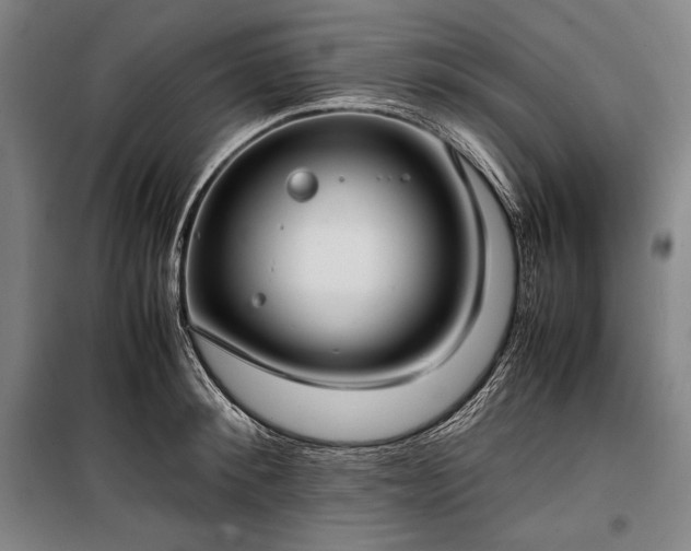 X0000100310900200806121038