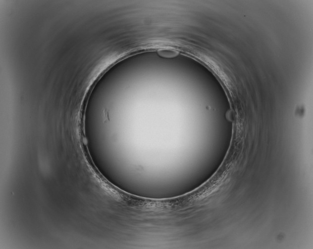 X0000100310901200806121038