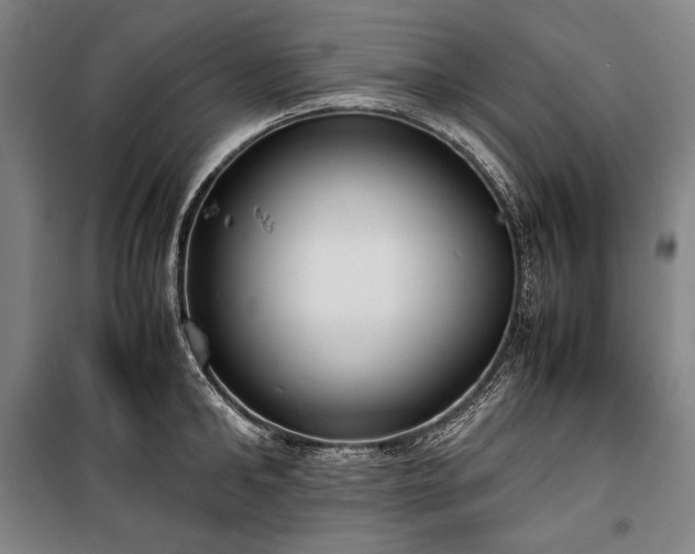 X0000100310902200806121038