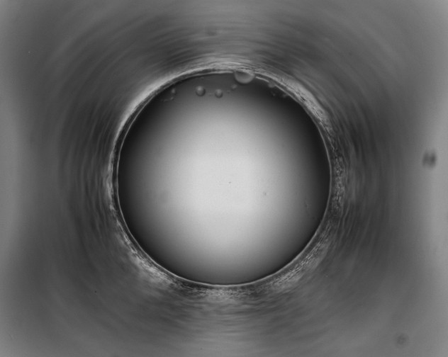 X0000100310904200806121038