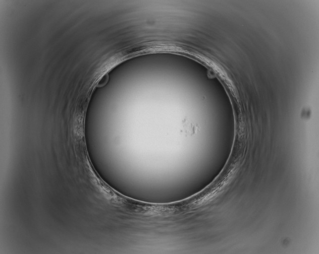 X0000100310905200806121038