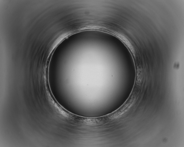 X0000100310906200806121038