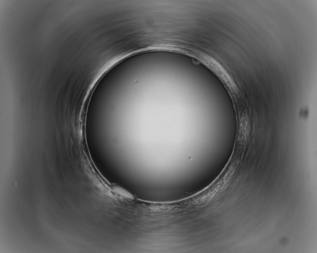 X0000100310908200806121038