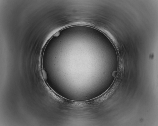 X0000100310910200806121038