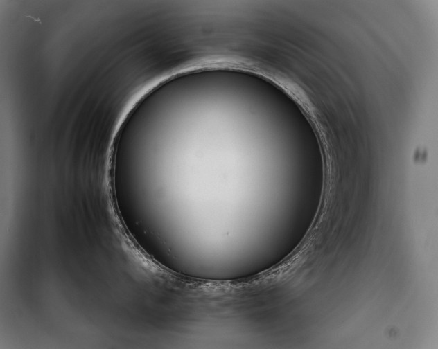 X0000100310912200806121038