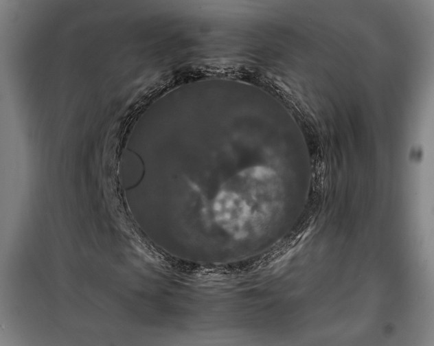 X0000100310913200806121037