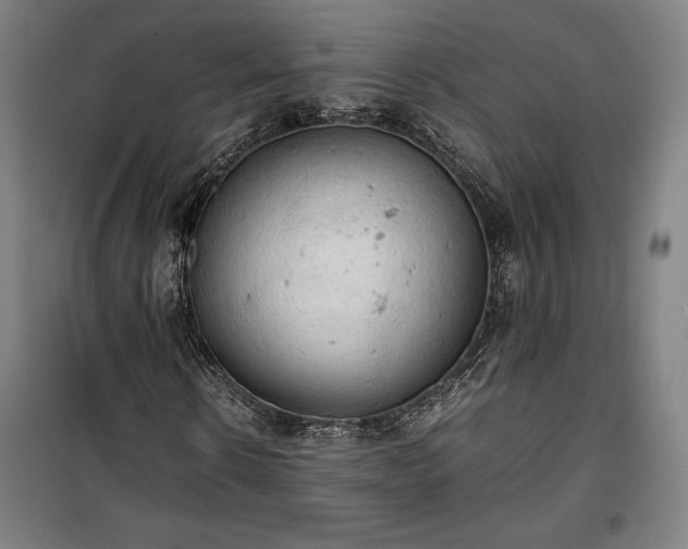 X0000100310914200806121037