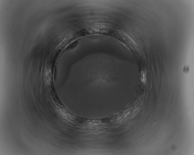 X0000100310915200806121037