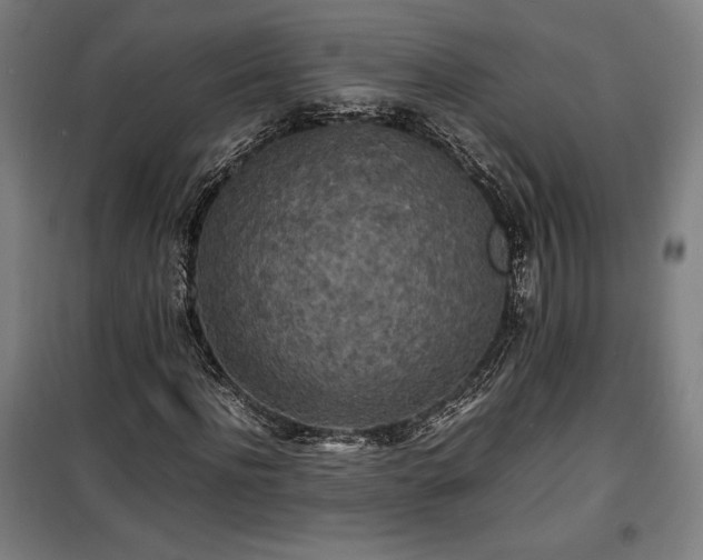 X0000100310916200806121037