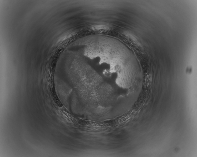X0000100310917200806121037