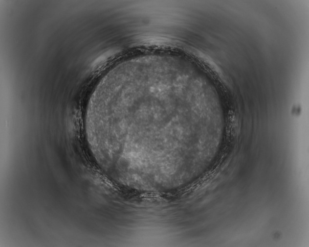 X0000100310918200806121037