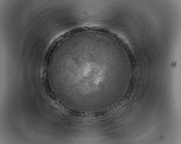 X0000100310920200806121037