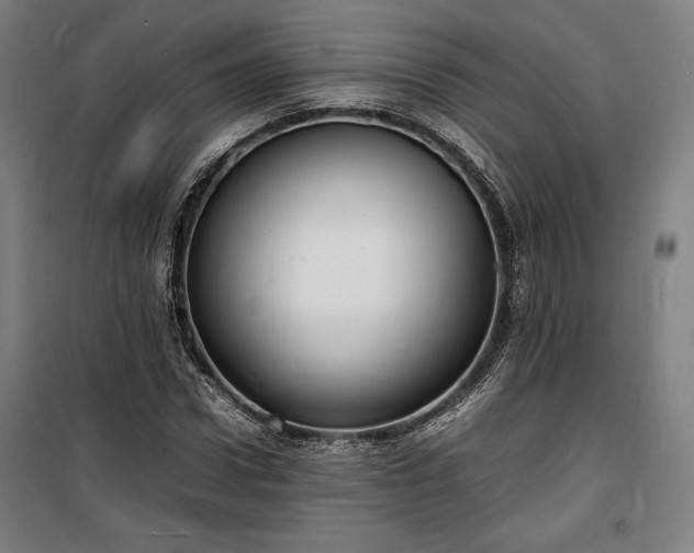 X0000100310922200806121037