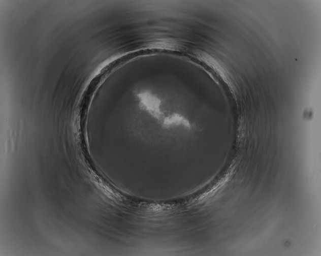 X0000100310923200806121037