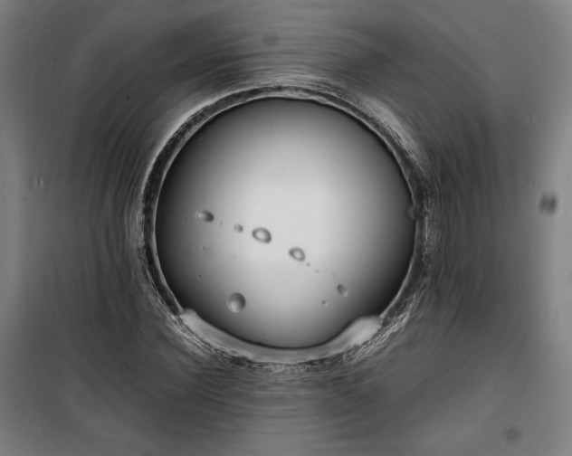 X0000100310924200806121037