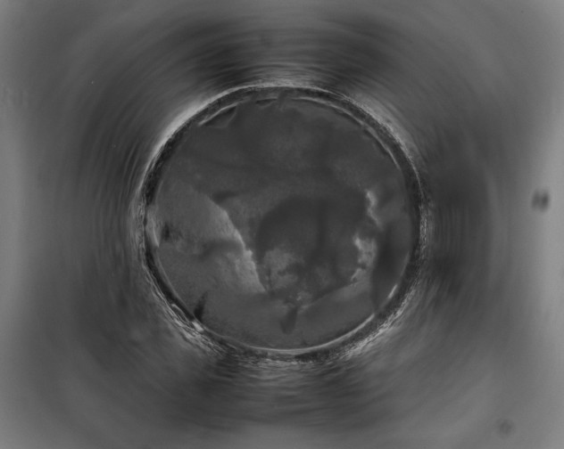 X0000100310925200806121037