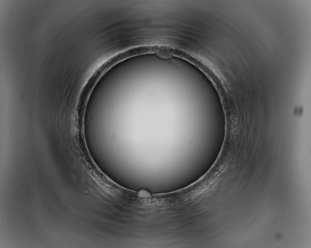 X0000100310927200806121037