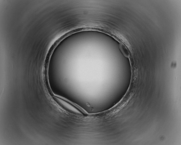 X0000100310928200806121037