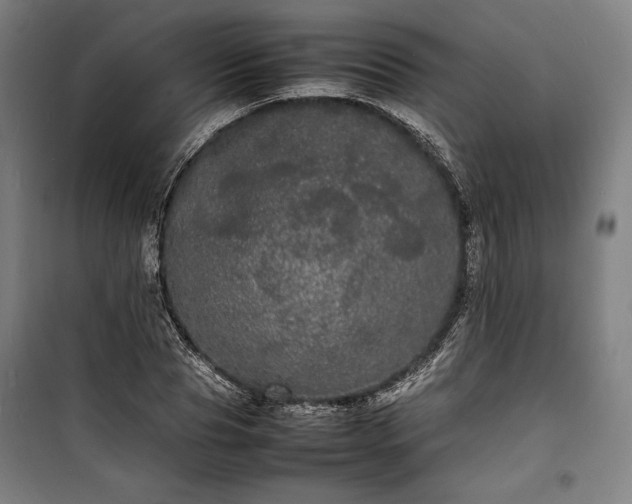 X0000100310929200806121037