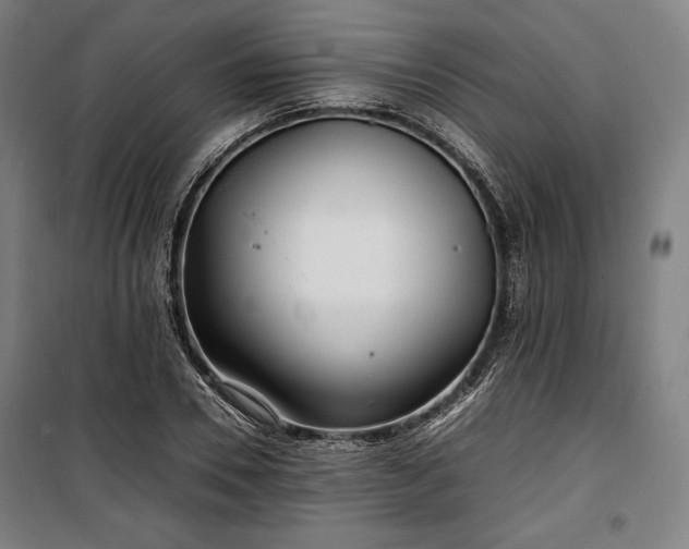 X0000100310930200806121037