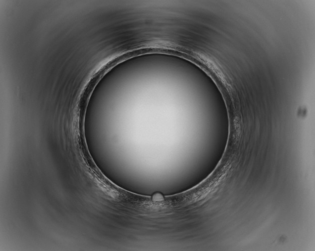 X0000100310931200806121037