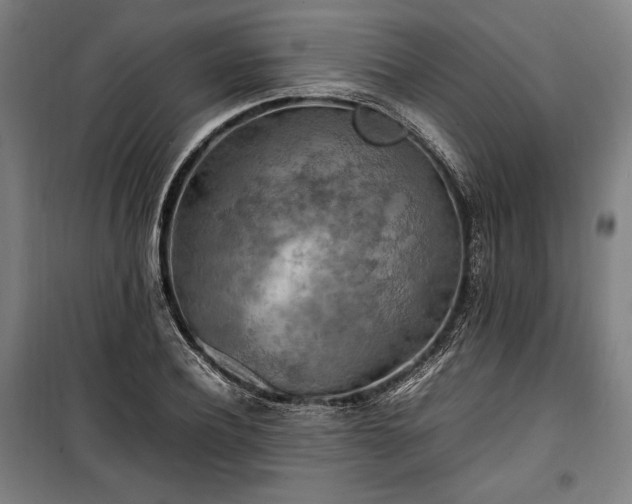 X0000100310932200806121037