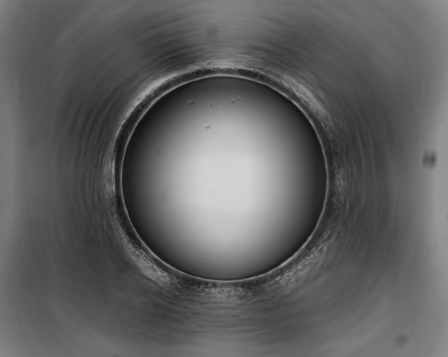 X0000100310934200806121037
