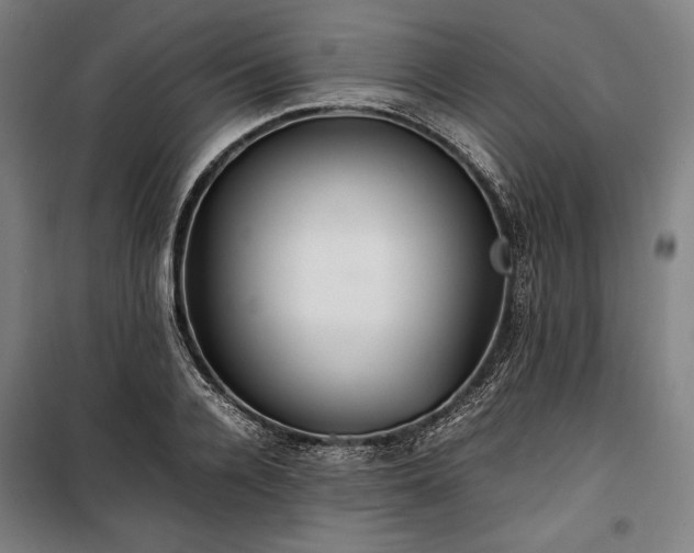 X0000100310936200806121037