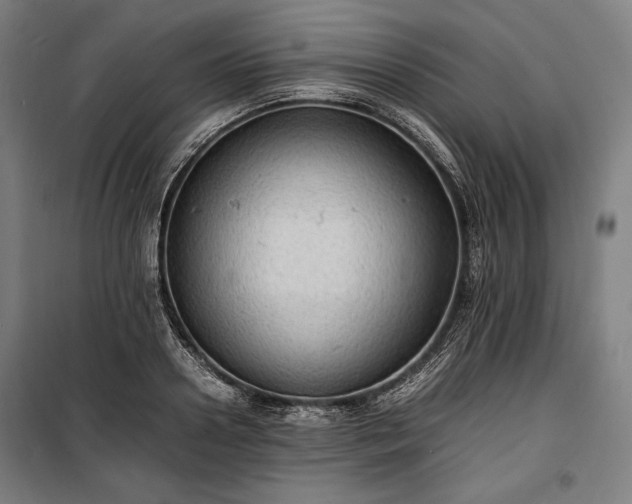 X0000100310938200806121037