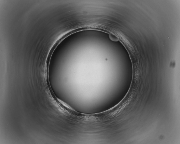 X0000100310940200806121037
